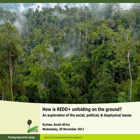 How is REDD+ unfolding on the ground?