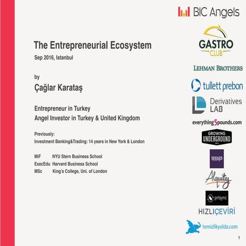 The Entrepreneurial Ecosystem - 02.04.2016