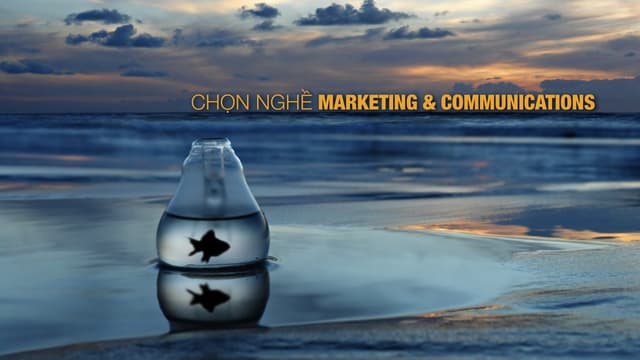 [Career Orientation] Marketing & Communications career