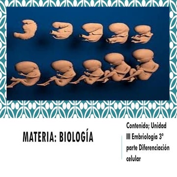 Genética, embriología, diferenciación celular