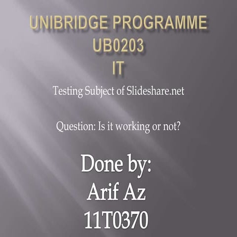 Unibridge programme