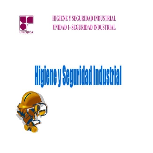 Seguridad y salud industrial
