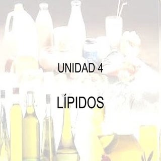 Unidad 4. lípidos