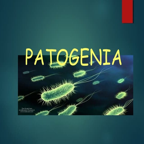 Patogenia