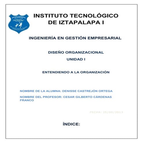 Unidad 1 diseño organizacional