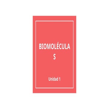 Comprehensive Overview of Biomolecules: Structure and Properties | PPTX
