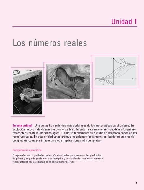 Unidad 1 - El número real.pdf