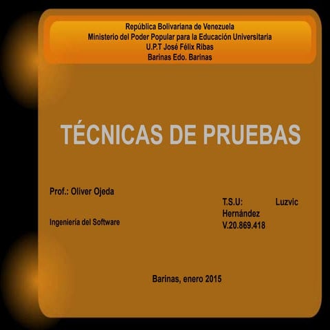 Tecnicas de Pruebas 