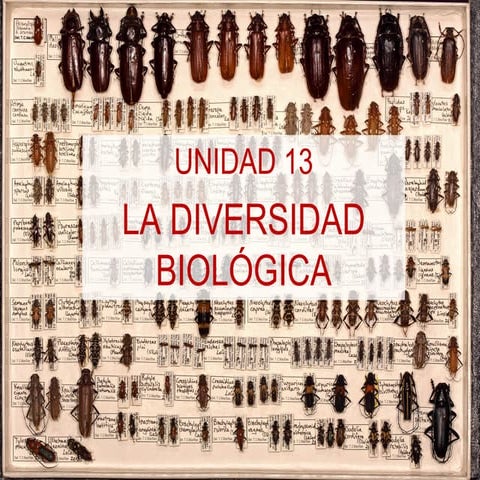 Unidad 13. La diversidad biológica