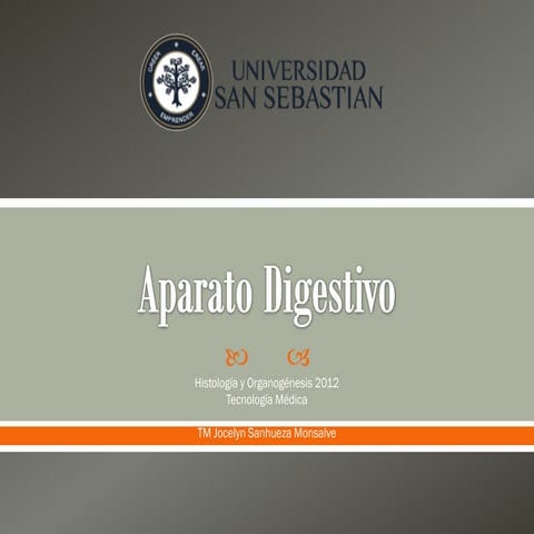 Unidad 16, aparato digestivo