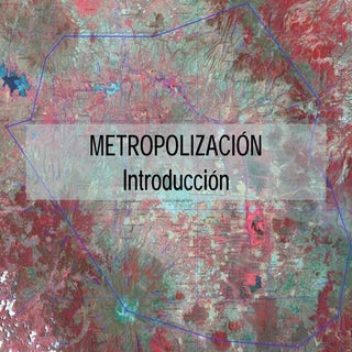 Unidad 1 metropolizacion