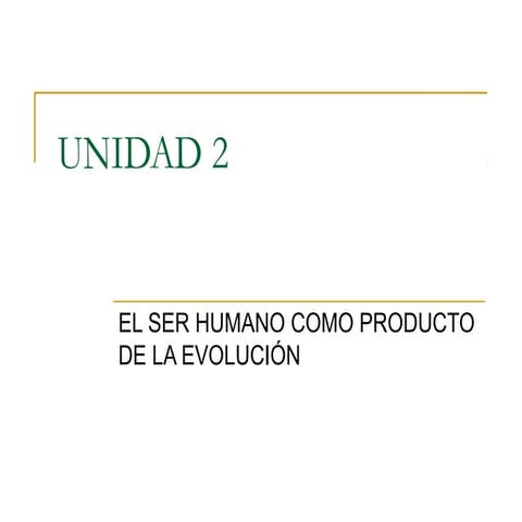 Unidad 2