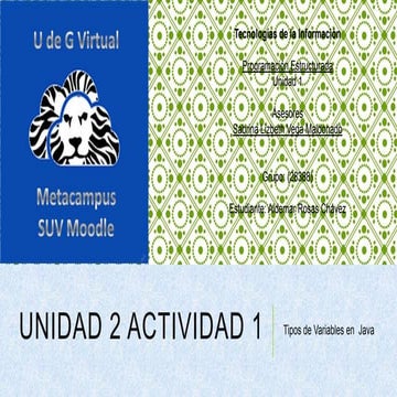 Tipos de Variables en Java