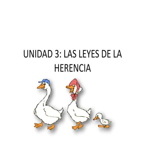 Unidad 3 Genética $º ESO