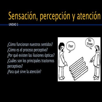 Unidad 3 Sensación, percepción, atención