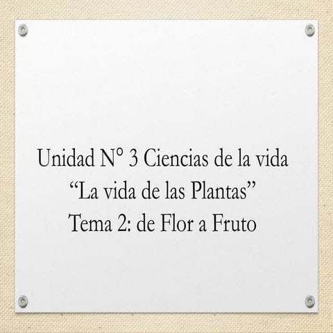 Unidad 3 las plantas tema 2