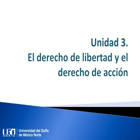 Unidad 3. El derecho de libertad y el derecho de acción