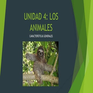 Unidad 4 los animales