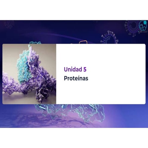 Presentación de Proteínas de quim. biol.