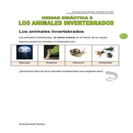 Unidad 5  animales invertebrados 