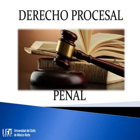 Unidad 5. Conducción jurídica de la investigación inicial