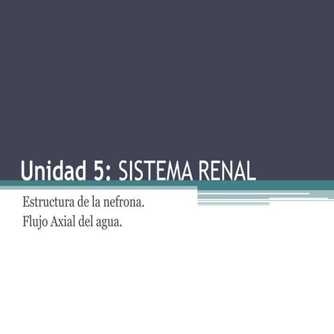 Unidad 5 Sistema urinario - Estructura de la nefrona