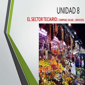Unidad 8. Sector Terciario