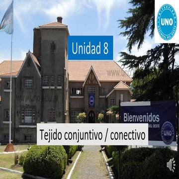 Unidad 8 - Tejido conectivo completo.pdf