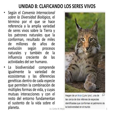 Clasificando los seres vivos