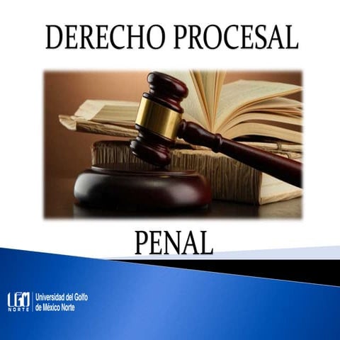 Unidad 9 Medidas cautelares