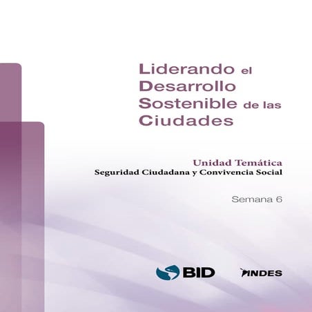 Liderando el Desarrollo Sostenible de las Ciudades  - Unidad Temática Segurid...