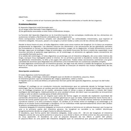 Unidad didactica ciclo 2 claudia