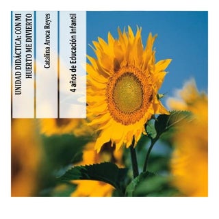 Unidad didáctica: Con mi huerto me ...