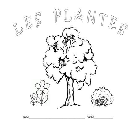 Unidad didáctica "Les Plantes"