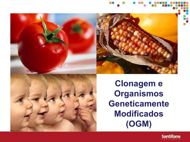 Unidade 3 Clonagem Ogm