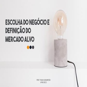 Escolha do negócio e definição do mercado alvo