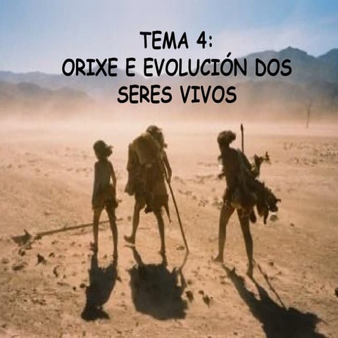 Unidade 4 a evolución