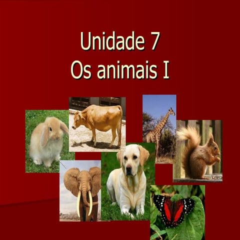 Unidade 6
