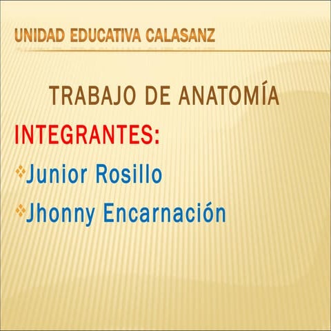 PROCESO DE LA AUDICIÓN