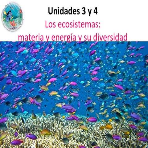 Unidades 3 y 4. los ecosistemas . materia y energía y su diversidad