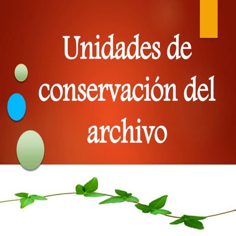 Unidades de conservacion del archivo