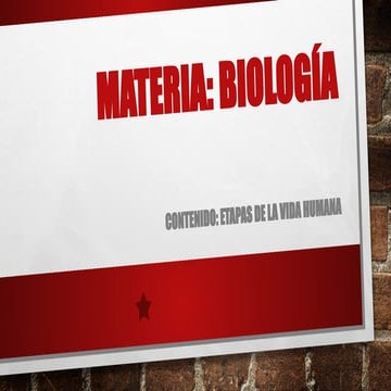 Etapas de la vida humana, las necesidades