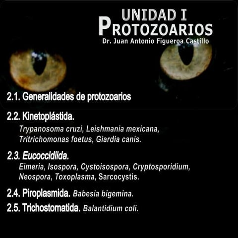 PARASITOLOGIA II