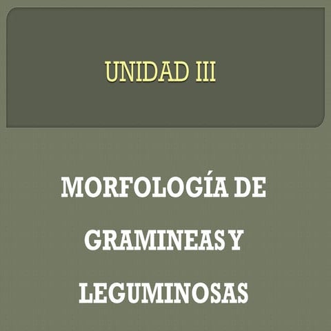 Unidad iii