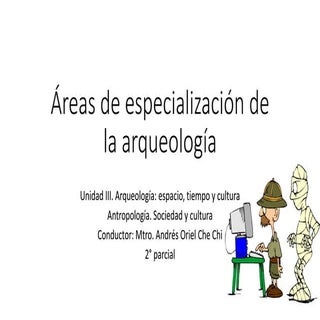 Unidad III. Áreas de especializació...