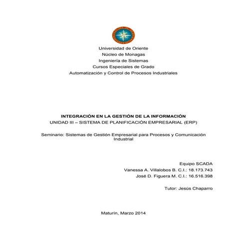 ERP - INTEGRACIÓN EN LA GESTIÓN DE LA INFORMACIÓN