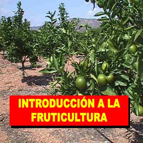 Unidad iii introducción a fruticultura