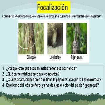 ADAPTACION DE PLANTAS, ANIMALES EN LOS ECOSISTEMAS | PPT