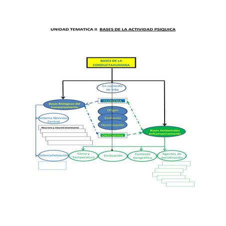 Unidad tematica ii  bases de la actividad psiquica