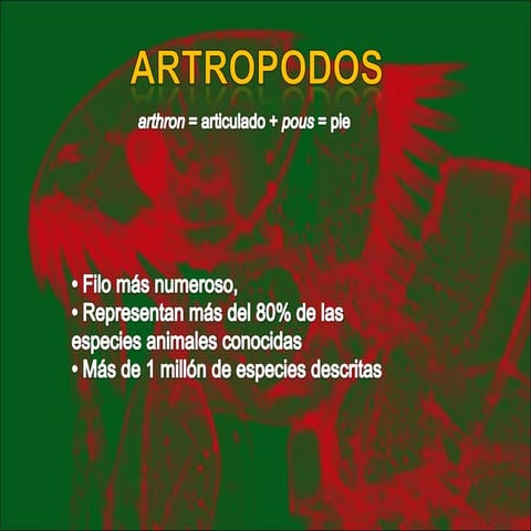 antropodos-parasitos